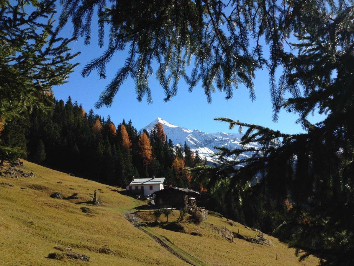 Chalet Del Bosco فالديسوتو المظهر الخارجي الصورة